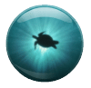 tortugabutton